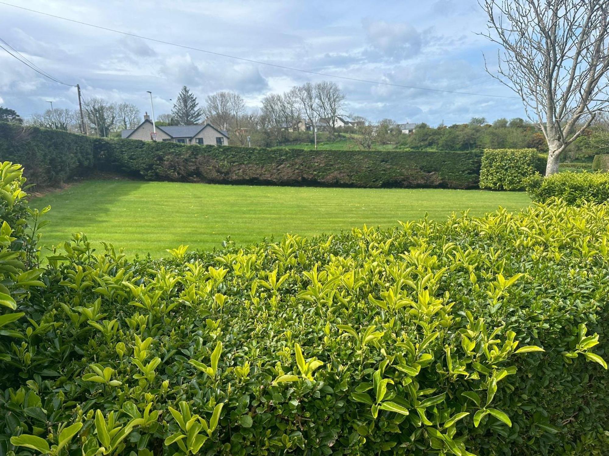 Ocean View Bushmills